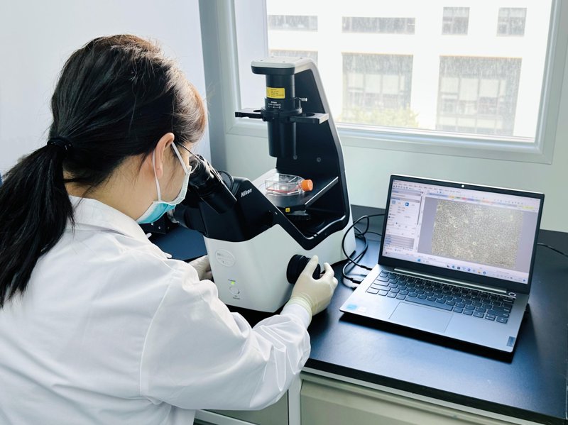 细胞生物学服务：探索生命奥秘的新窗口