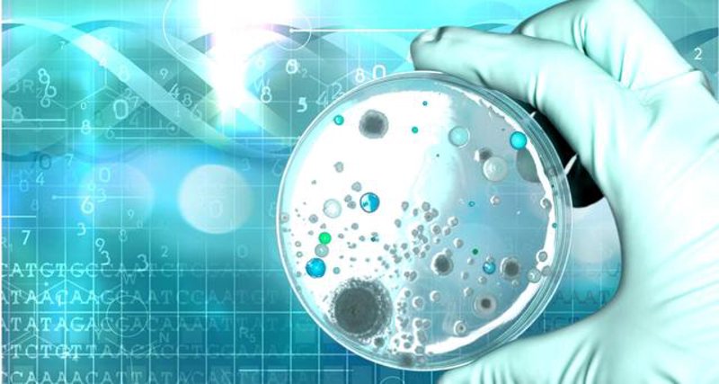 细胞生物学服务