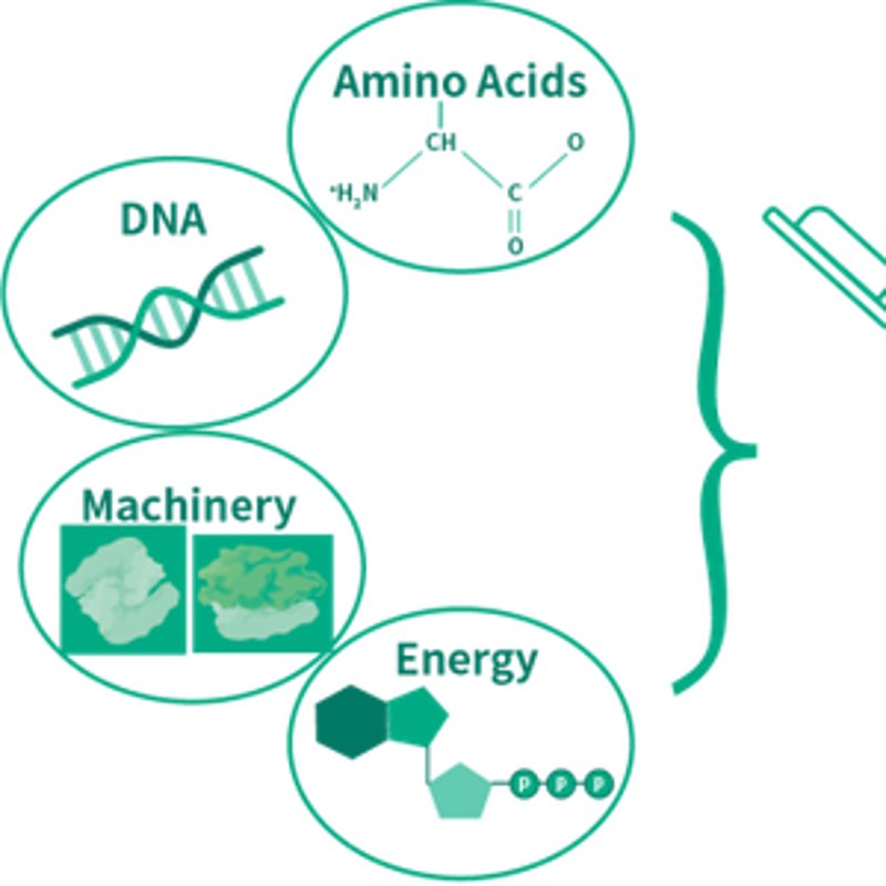 生物技术研发：开启生命科学新纪元